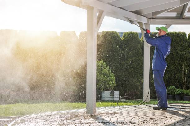 Best Oil Spill Cleanup  in St Elmo, IL
