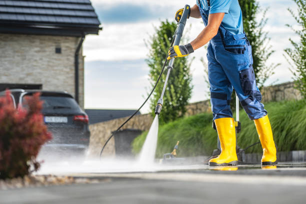 Best Driveway Pressure Washing  in St Elmo, IL